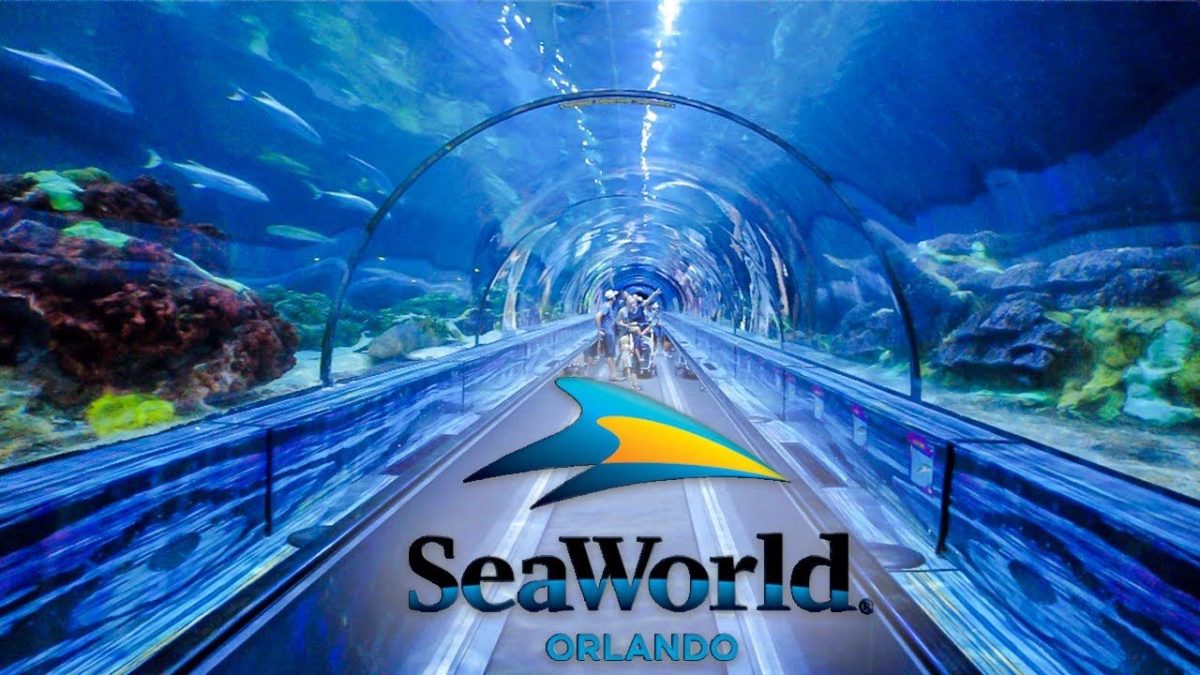SeaWorld